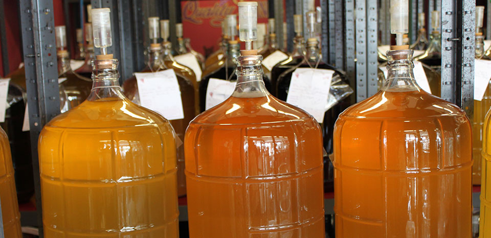 Windsor Ontario Wine making store: Make your own Homemade wine in Windsor